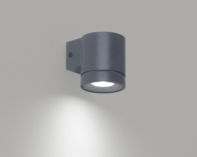 2041-luz