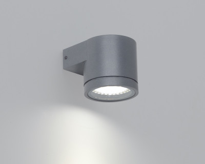 2042-luz